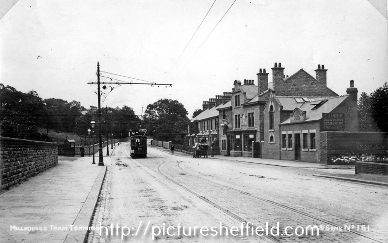 Searching Picture Sheffield