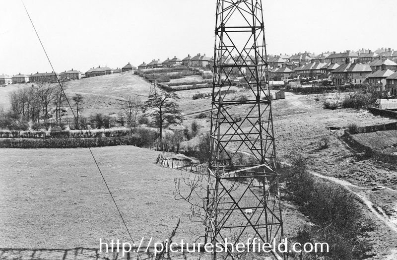 Searching Picture Sheffield