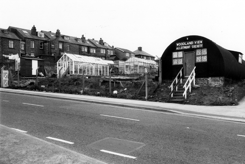  Wood View Allotment Society allotments, Stannington Road 