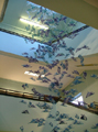 Blue Bird sculpture by Japanese artist Seiko Kinoshita in the stairwell of the Central Library/Graves Art Gallery, Surrey Street