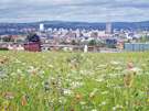 View from Park Grange Road looking towards Sheffield