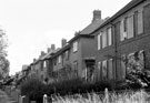 Boarded up houses around 230 Deerlands Avenue