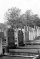 Jewish Cemetery off Colley Road, Parson Cross