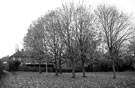 Open space around gennel between Monteney Road and Wordsworth Avenue, Parson Cross