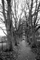 Path by playground in Meersbrook Park