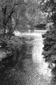 Walk Mill Weir, River Don Five Weirs Walk from Savile Street side of the river