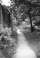 Five Weirs Walk, River Don between Burton Weir and Salmon Pastures Nature Reserve