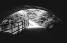 Under Washford Bridge, Five Weirs Walk