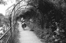 The stretch of pergola adjoining THESSCO between Washford Bridge and East Coast Road, Five Weirs Walk looking towards Washford Bridge