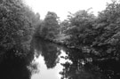 River Don looking south from East Coast Road