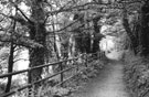 East Coast Road Entrance to Five Weirs Walk