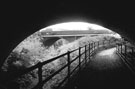 Stevenson Road Bridge from under the Railway Bridge, Five Weirs Walk