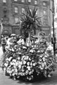 Display for Entente Florale, Town Hall Square