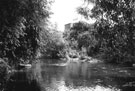 River Don at Salmon Pastures, Five Weirs Walk