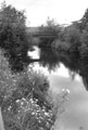 River Don near Amberley Street