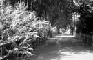 Five Weirs Walk/Transpennine Trail  between Weedon Street and Carbrook Street