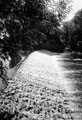 Sandersons Weir, River Don from Five Weirs Walk/Transpennine Trail