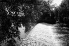 Sandersons Weir, River Don from Five Weirs Walk/Transpennine Trail