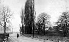 Chesterfield Road, Woodseats looking towards Meadowhead and Abbey Pub (seen behind poplar trees)