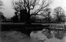 Beauchief Abbey, view from the fish pond