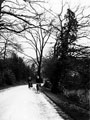 Driveway to Holt House, Abbeydale Road, Millhouses