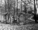 Ruins in Whiteley Woods near Ivy Cottages and Wire Mill Dam