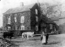 Ivy House Farm, Woodseats, 1903-1909. Louisa Barber in foreground