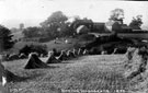 Ivy House Farm from The Dale, Woodseats, Barbers fields in background