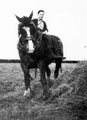 Mr. Taylor on 'Visitor' at Southey Hall Farm