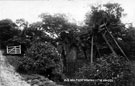 Wharncliffe Oak, Wharncliffe Crags