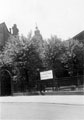 Trees in court-yard of Upper Chapel, Norfolk Street