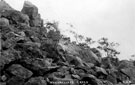 Wharncliffe Crags, above Deepcar Station