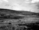 Stanage Edge, Hallam Moors