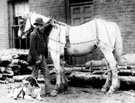 Horse named 'Flower' outside Sawmills on Nether Shire Lane