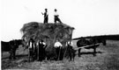 Haymaking at Southey Hall Farm, Parson Cross