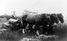 Self binder for straw, Myrtle Bank Farm