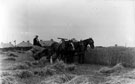 Harvesting at Southey