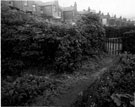 Brightside Allotments, No. 22 looking towards the rear of Limpsfield Road