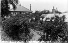 Springwell Nursery belonging to George Firby, Southey Green Road