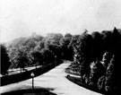 The Drive at Middlewood Hospital (former S.Y. Asylum also referred to as Wadsley Asylum)