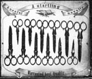 Scissors, Sample Page from Trade Catalogue, Manufacturer  Unknown