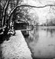 Winter at Endcliffe Wheel Bathing Dam, Endcliffe Park