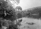 Wolfe Wheel Dam, Rivelin Valley