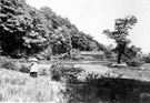 Roscoe Wheel Mill and Dam, Rivelin Valley