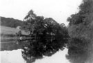 Wire Mill Dam, the former location of Whiteley Wood Rolling Mill, also known as Wire Mill, Porter Brook