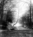 Wire Mill Dam, the former location of Whiteley Wood Rolling Mill, also known as Wire Mill, Porter Brook