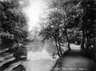 Leather Mill Dam, Whiteley Woods, River Porter