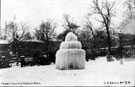 View: s10942 Frozen fountain, Weston Park
