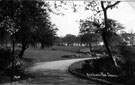 High Hazels Park showing the fossilized tree, Darnall