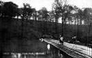 View: s11099 Duck Pond, Firth Park